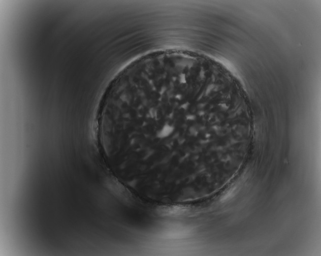 X0000090710879200707201213