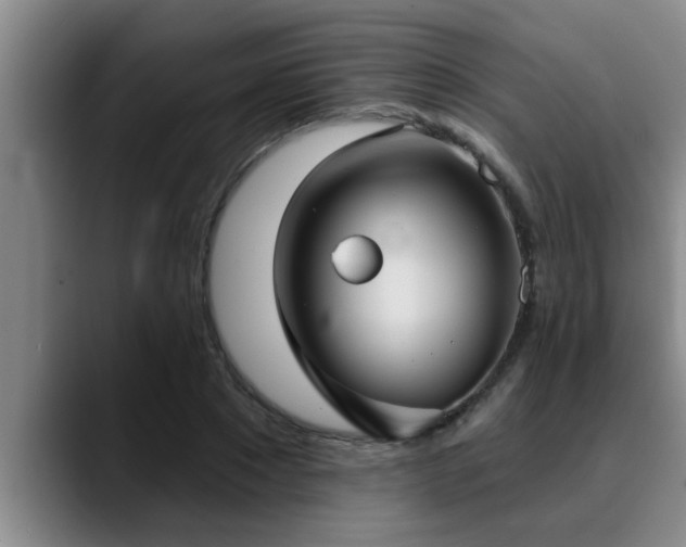 X0000090710881200707201213