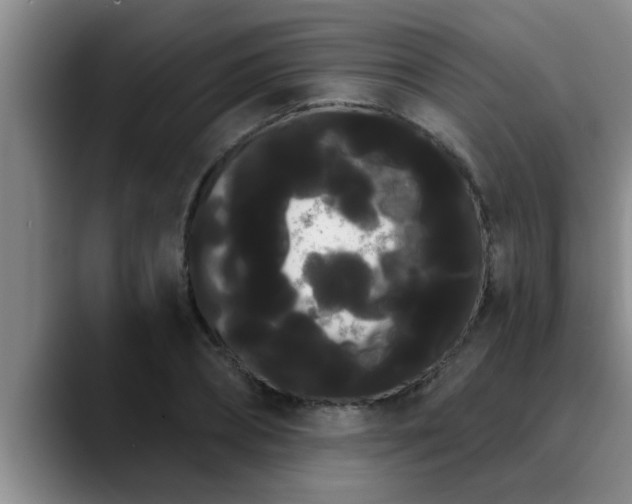 X0000090710882200707201213