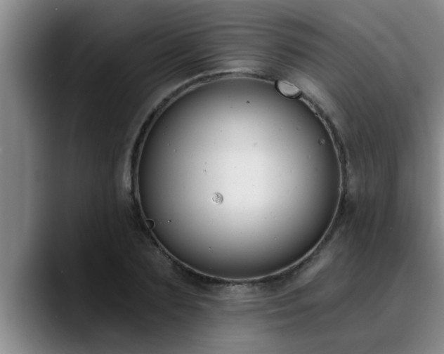 X0000090710883200707201213