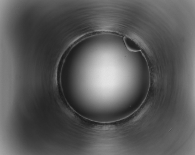 X0000090710884200707201213