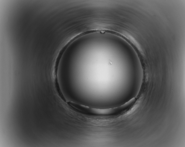 X0000090710885200707201213