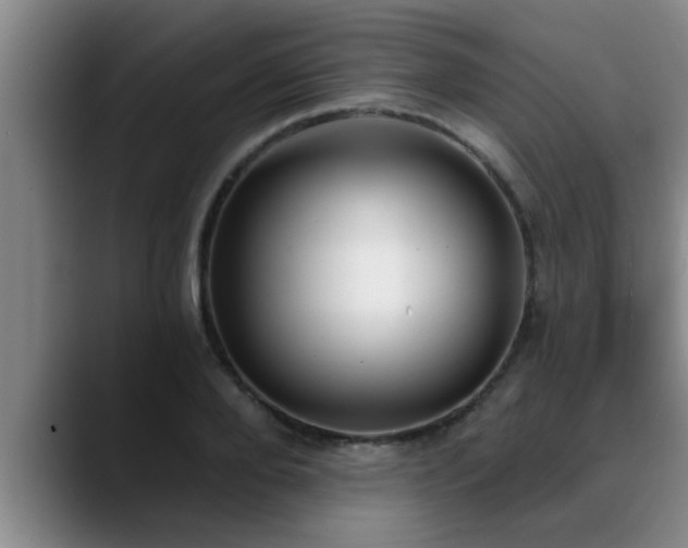 X0000090710888200707201213