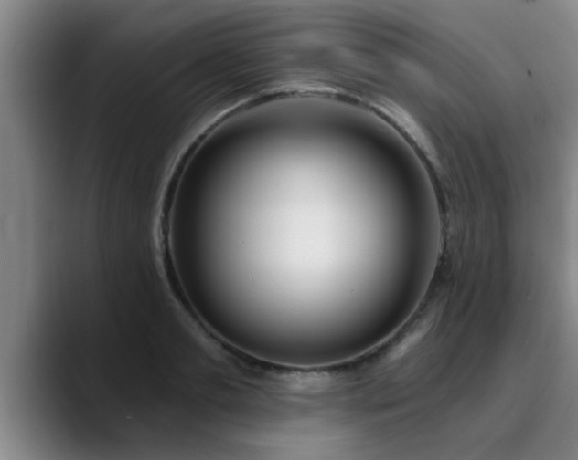 X0000090710893200707201213