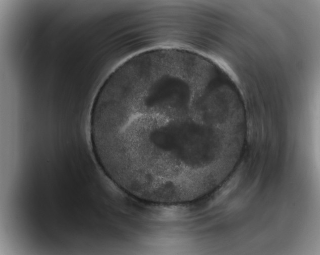 X0000090710895200707201213