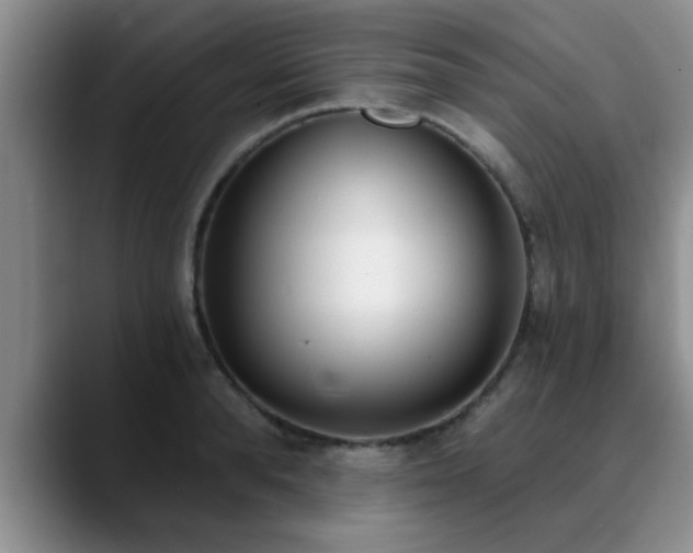 X0000090710896200707201213