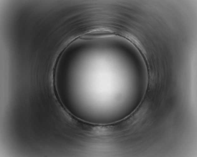 X0000090710898200707201213