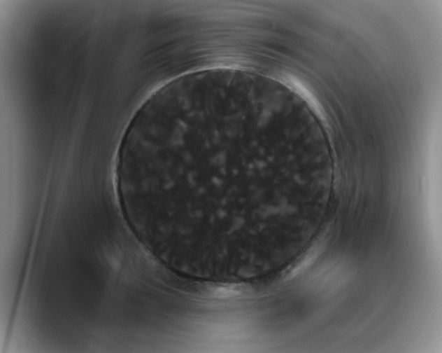 X0000090710899200707201213