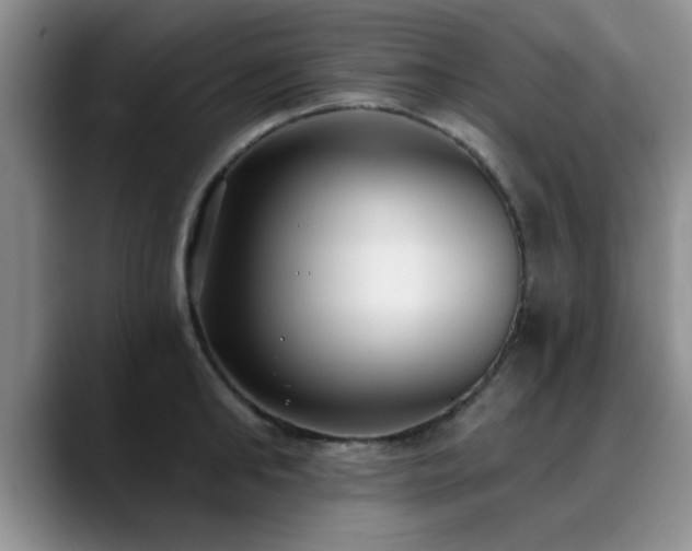 X0000090710902200707201213