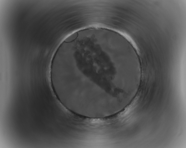 X0000090710903200707201213