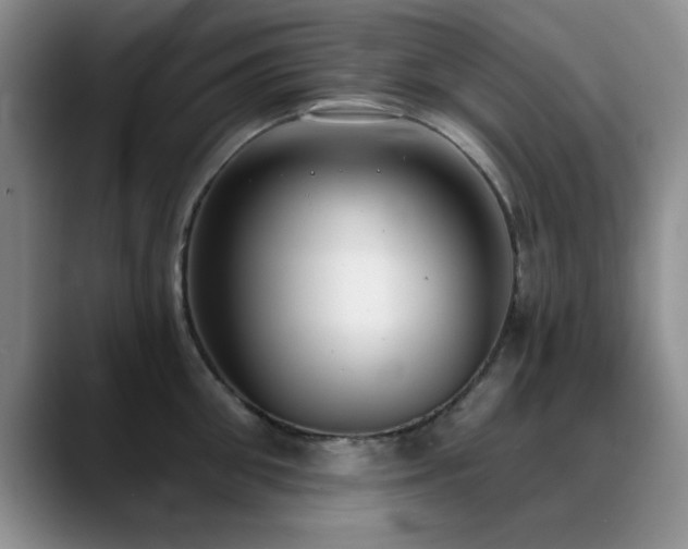 X0000090710906200707201213