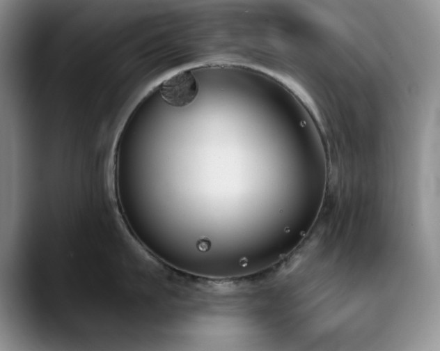 X0000090710911200707201213