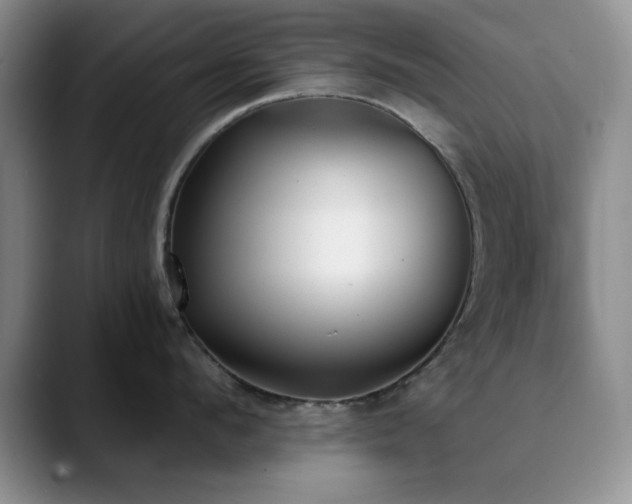 X0000090710912200707201213