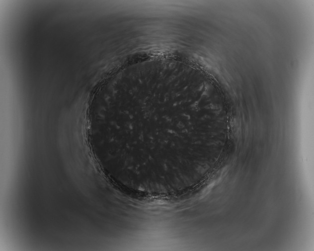 X0000090710913200707201212