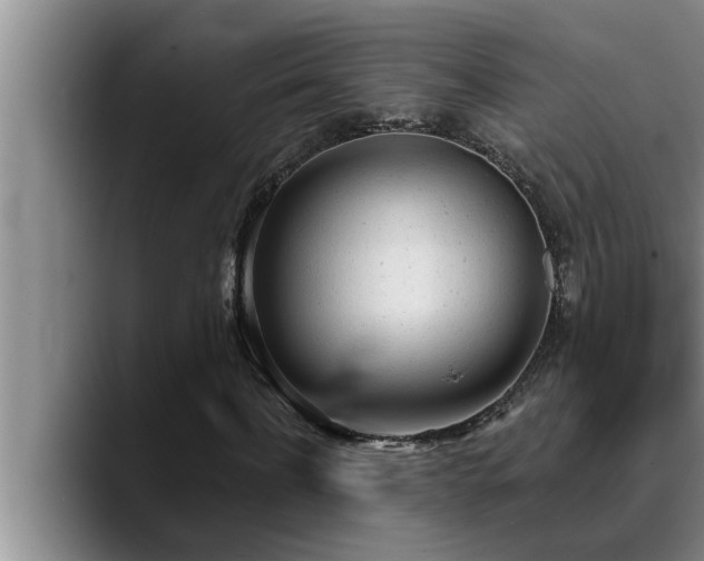 X0000090710916200707201212