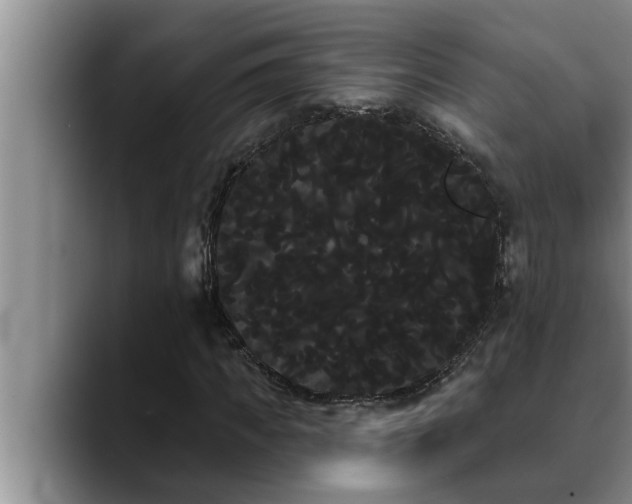 X0000090710917200707201212