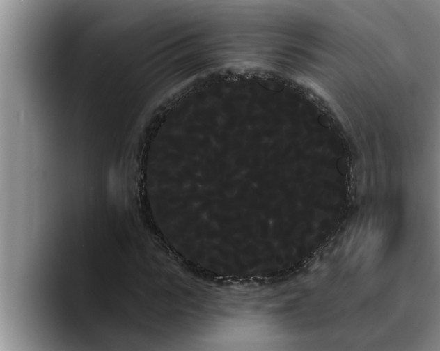 X0000090710919200707201212