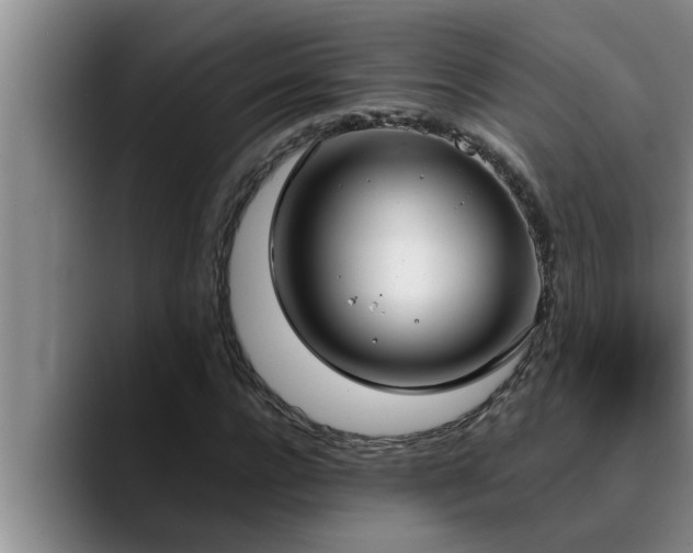 X0000090710920200707201212