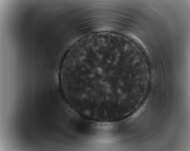 X0000090710921200707201212