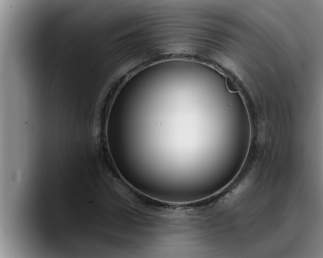 X0000090710922200707201213