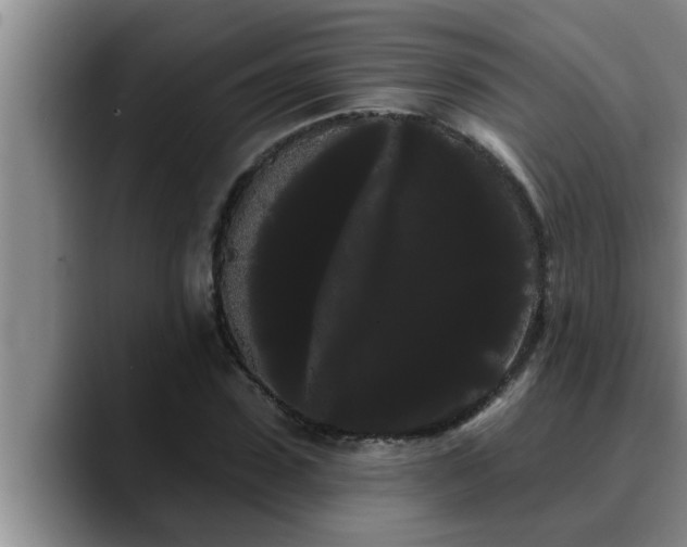 X0000090710923200707201213