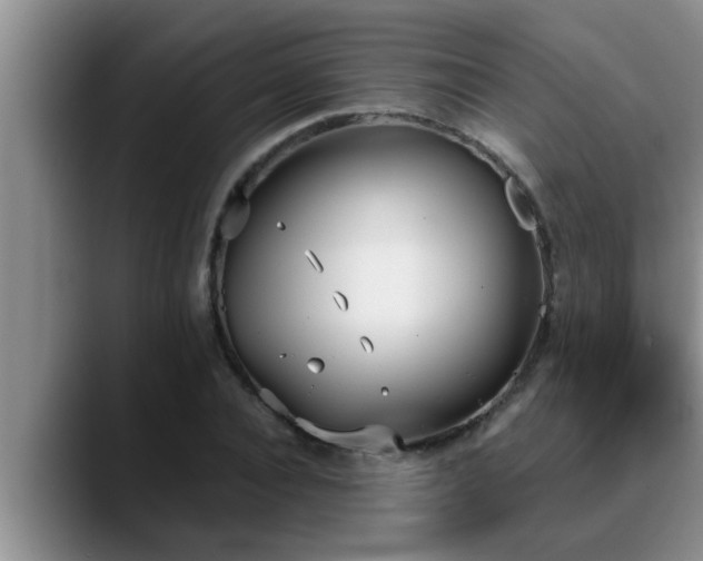 X0000090710928200707201213