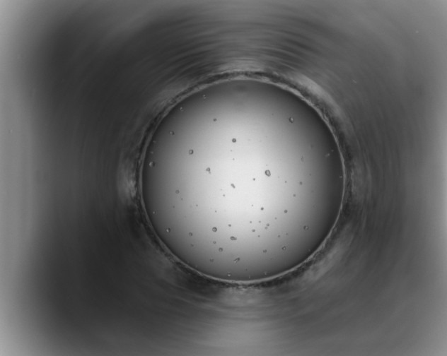 X0000090710929200707201213