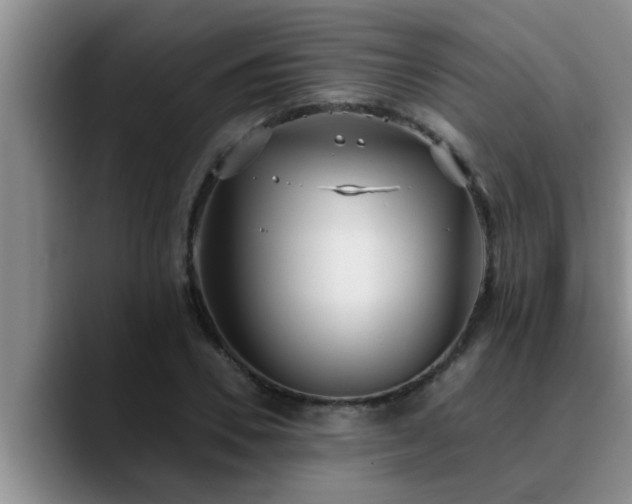 X0000090710930200707201213