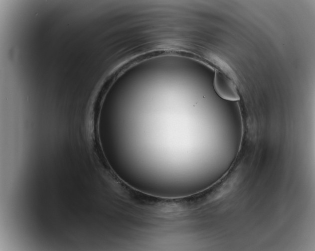 X0000090710931200707201213