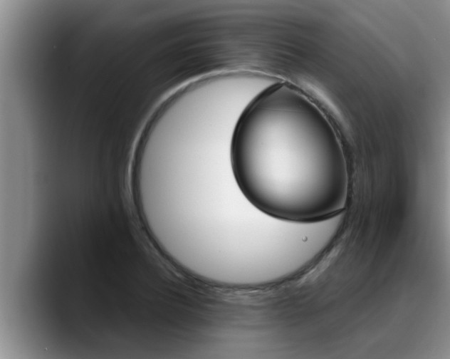 X0000090710932200707201213