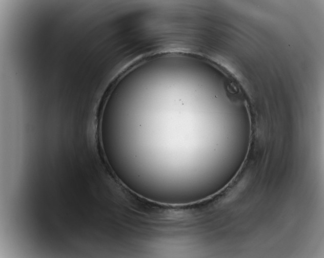 X0000090710933200707201213