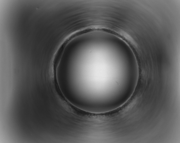 X0000090710934200707201213