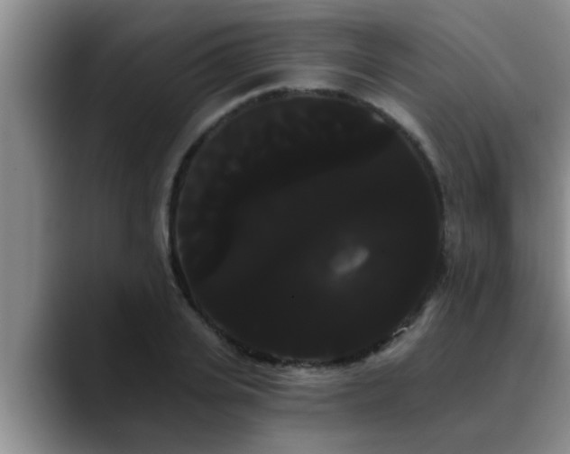 X0000090710935200707201213