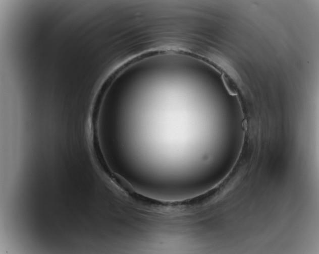 X0000090710936200707201213