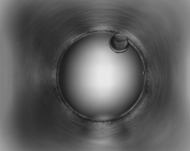 X0000090710937200707201213