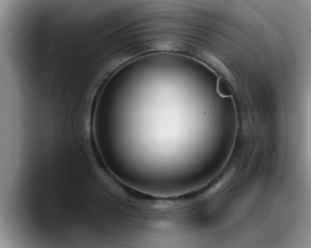 X0000090710938200707201213