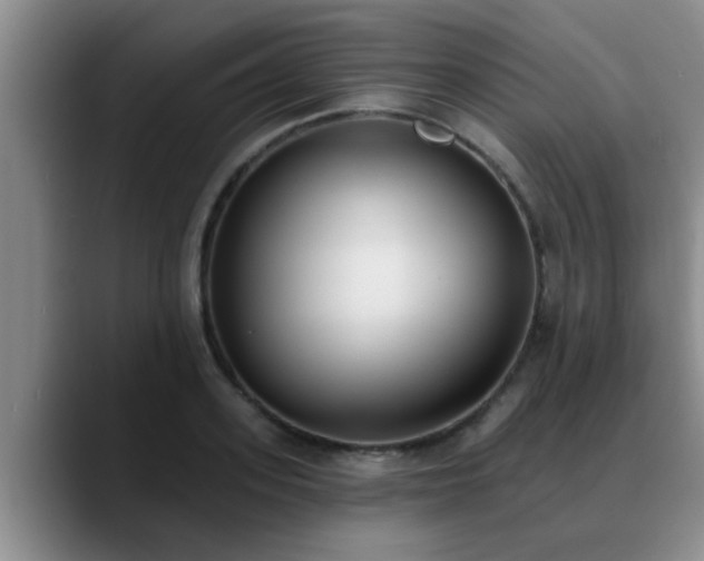 X0000090710939200707201213