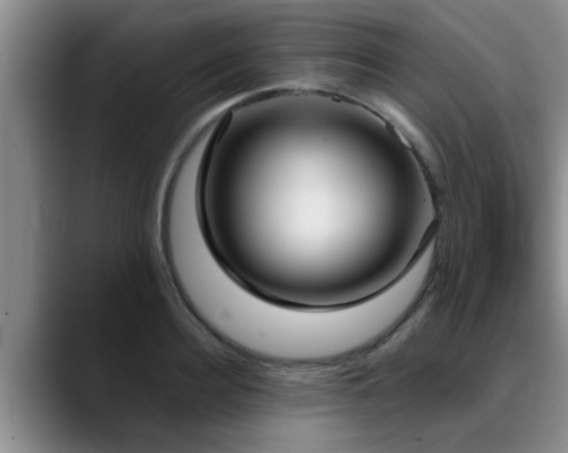 X0000090710940200707201213