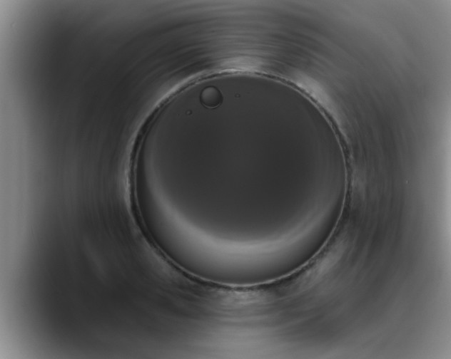 X0000090710941200707201213