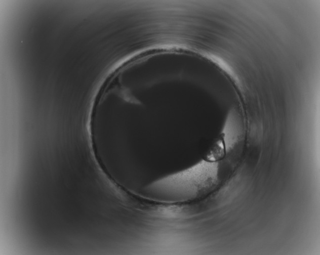 X0000090710943200707201213