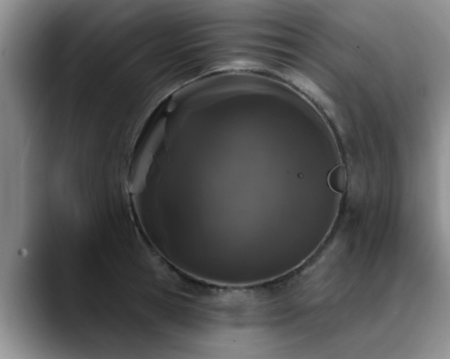 X0000090710945200707201213