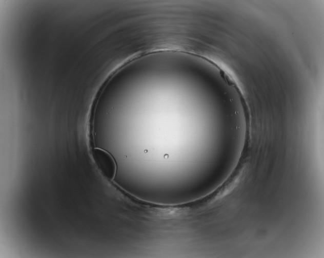 X0000090710949200707201213