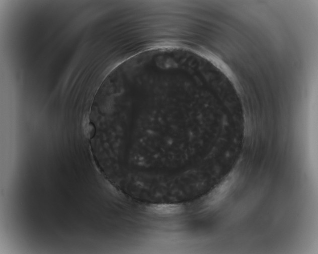 X0000090710953200707201213