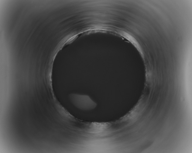 X0000090710954200707201213