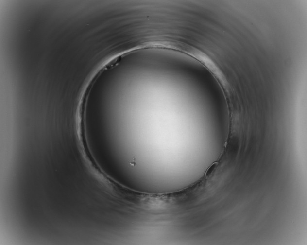 X0000090710955200707201213