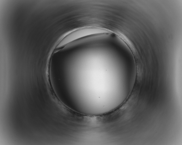 X0000090710956200707201213