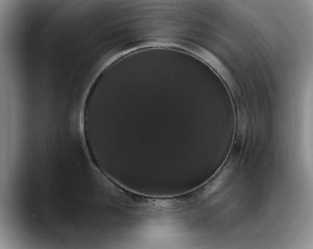 X0000090710958200707201213