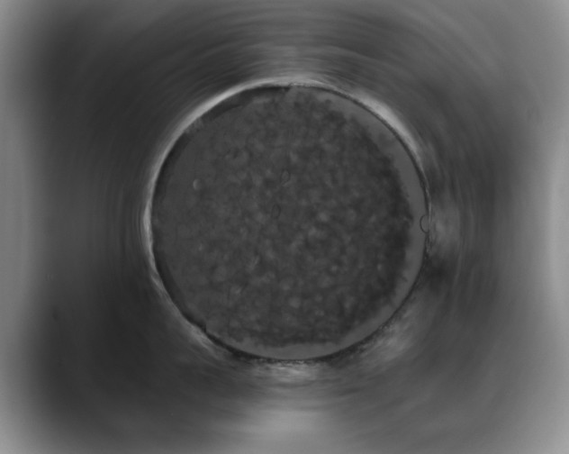 X0000090710959200707201213