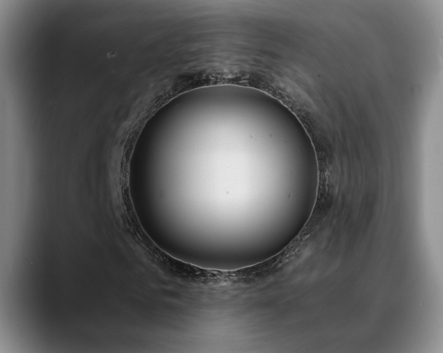 X0000090710961200707201212