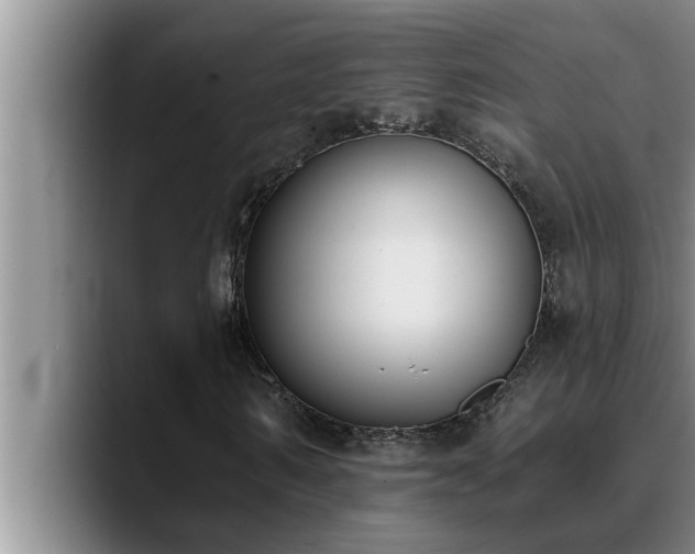 X0000090710962200707201212